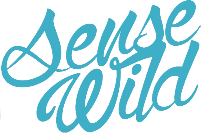 Sense Wild
